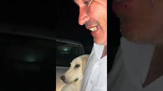 Kliniğe giderken gördüm garibimi ☺️gider yavrum da ihbarına gittim 