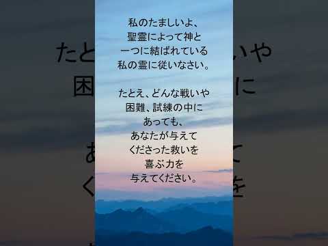 動画を再生