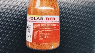 Download lagu Tutorial pemberian pakan menggunakan artemia instan polar red untuk guppy mp3 Download lagu Tutorial pemberian pakan menggunakan artemia instan polar red untuk guppy mp3