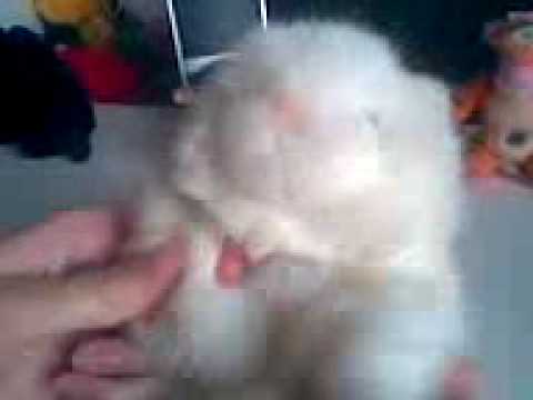 Timbaland feat. Keri Hilson, D.O.E & Nephew - The Way I Are (Funny)