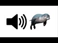 Seal - Sound Effect | ProSounds