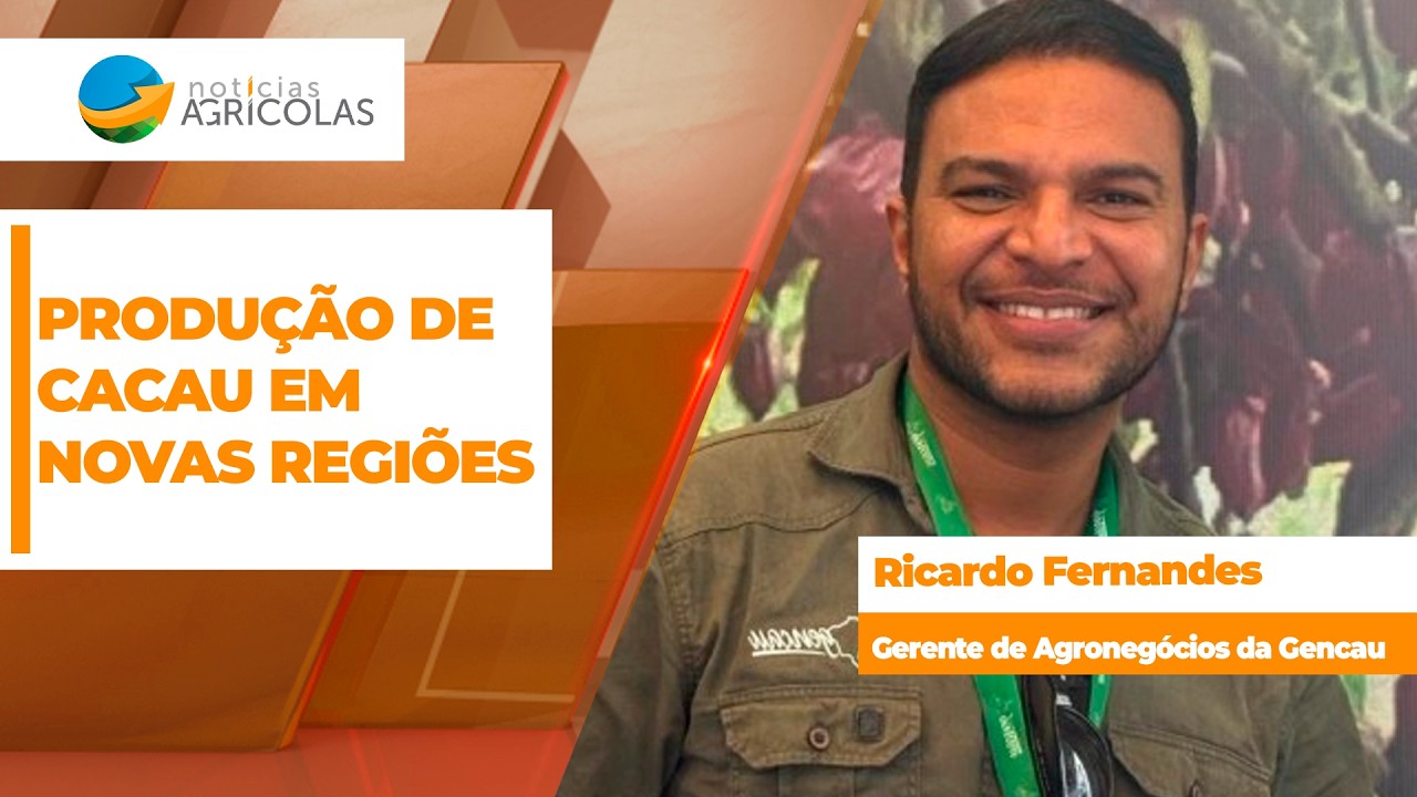 Indústria paraense apoia cultivo de cacau em cinturão citrícola paulista