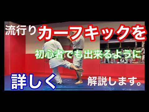 年末に流行ったカーフキックの蹴り方を誰でも出来るように説明してます。