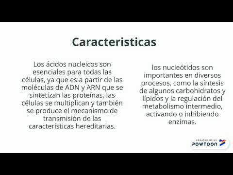 acidos nucleicos