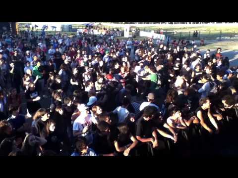 Primate - Es mi voz la que se eleva - Video Oficial Punta Rock 2012