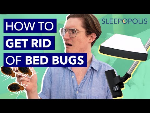 How to Get Rid of Bed Bugs!