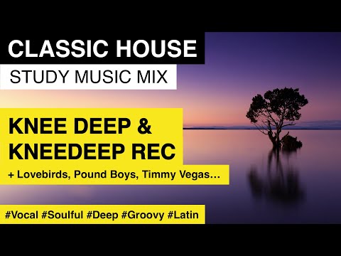 Classic House | Best of KNEE DEEP & KNEEDEEP Recordings | Study Music Mix