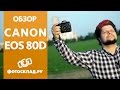 Зеркальный фотоаппарат Canon EOS 80D  body