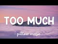 Too Much Carly Rae Jepsen Lyrics