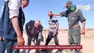 #البيضالولاية المنتدبة الأبيض سيدي الشيخ حملة التشجير واسعة بإشراف السلطات المحلية