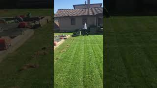 Robotfűnyíró vs Benzines fűnyíró   #lawn  #luba