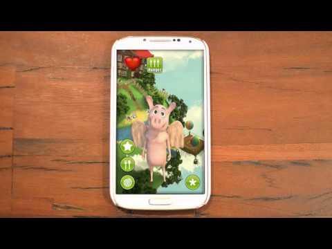Talking Flying Pig Video
