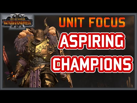 Unit Focus: Champions are Still Underrated - Total War Warhammer 3 Multiplayer