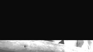 Cine Conhecimento 2014 | KUROSAWA