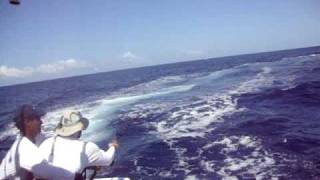 Marlin Charges boat at PSFL