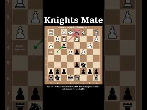 Rare Checkmate Pattern | Queen Sacrifice to Checkmate by Two Knights