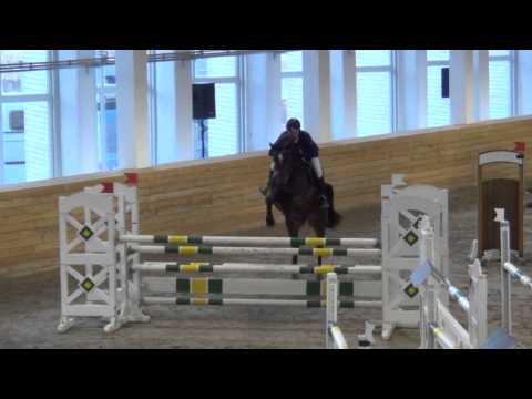 Conterina 2008(Contendro II/Lortino) 130cm