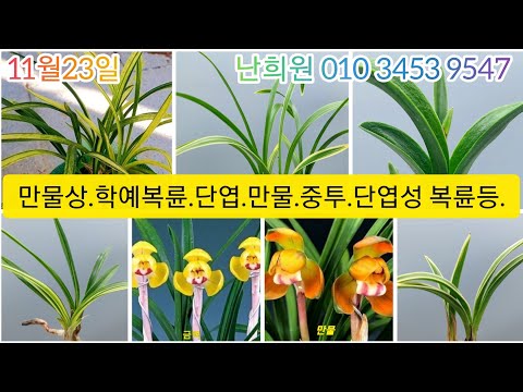 유튜브 썸네일
