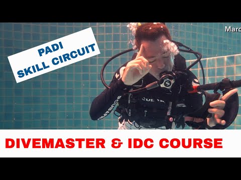download lagu mp3 mp4 Divemaster Instructor, download lagu Divemaster Instructor gratis, unduh video klip Divemaster Instructor