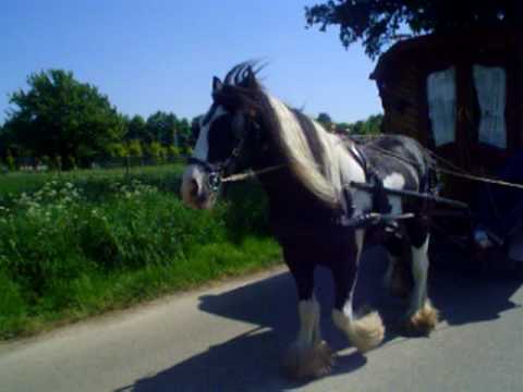 Lollo Meier  "On tour "