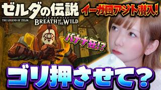 【完敗!?】イーガ団アジトで🍌バナナ狂にボコられるなんて悔しすぎる！【ゼルダの伝説BotW】#28