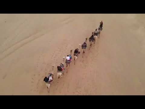Drone shot of the camel ride in Swakopmund Namibia 🇳🇦 shot by Afrokulcha Travel.