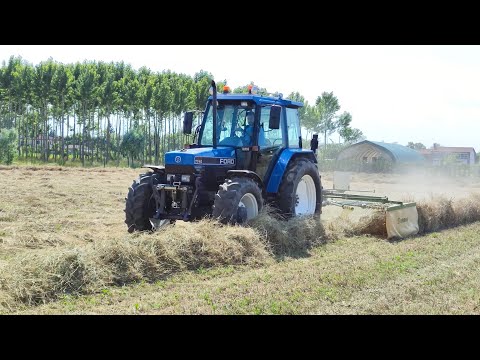 primo sfalcio by TRIVENETA FORAGGI