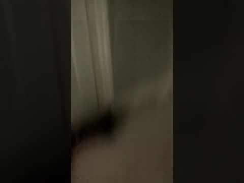 Being pretty annoying