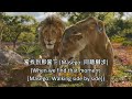 Mufasa The Lion King Milele Cantonese Chinese Subs Trans