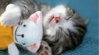 The Strokes Mercy Mercy Me