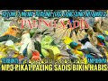 Suara Pikat Semua Burung Kecil Ribut Mp3 Paling Ampuh Paling Sadis Dapatnya SyahArif