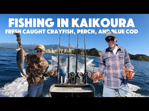 We Went On a Fishing Charter in Kaikoura | Van Life in New Zealand