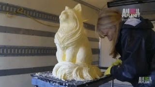 A Cat Sculpture Made out of Butter