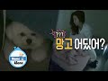 UIe searches under her bed while hanging upside down [Home Alone Ep 349]