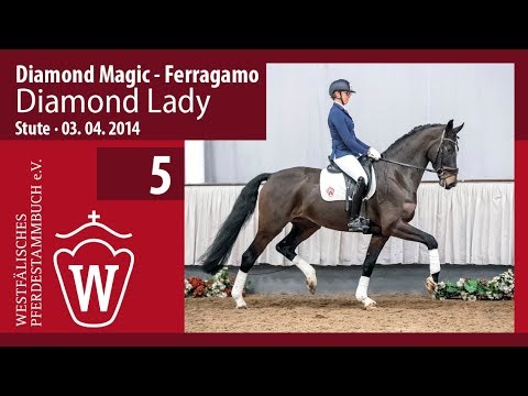05 Diamond Lady Stute v. Diamond Magic - Ferragamo