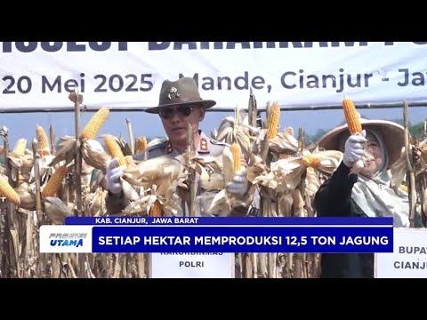 SWASEMBADA PANGAN, BAHARKAM POLRI GELAR PANEN RAYA JAGUNG HIBRIDA