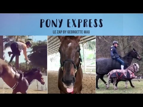 Pony Express #16 : ski nautique dans le rond de longe ! ⛷????