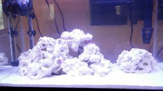 How to setup a Nano 10 gallon reef tank day 1 cycling