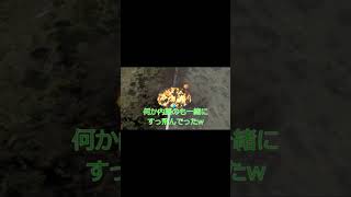 FAFOXのred dragon　～　いしょの援護　～　Funniestory.85 #shorts