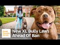 Xl Bully Owners Urged To Comply With New Restrictions By December 31st | Good Morning Britain