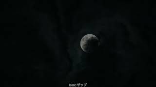 sting - sister moon (subtitulada al español)