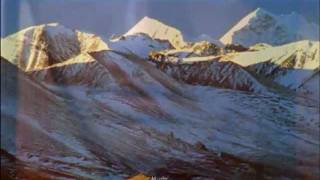 TIBET S.O.S "Tamtra Tibet"-Buddha Bar Vol. V-David Vişan & Mickael Winter feat. Ani Choying Drolma-