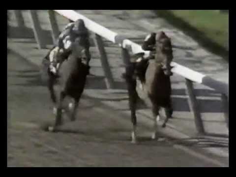 1989 Jockey Club Gold Cup