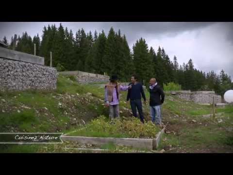 CUISINEZ-MOI ! Pomme de terre par Marc Veyrat