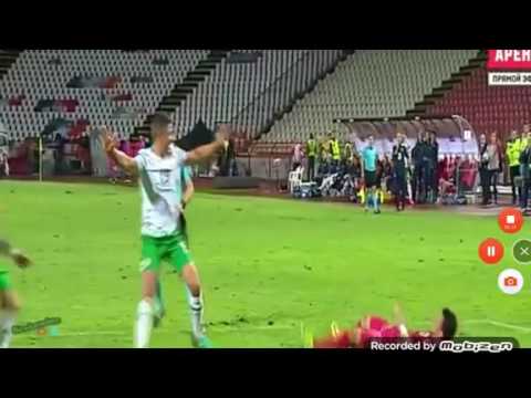 Serbia - Ireland 2 - 2   05 09 2016 World Cup Qualification