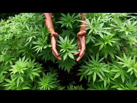 Sick Addiction - Half A Quarter