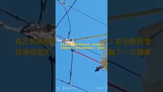 Re: [新聞] 3/11航廈電力設備人為破壞 桃機公司：公