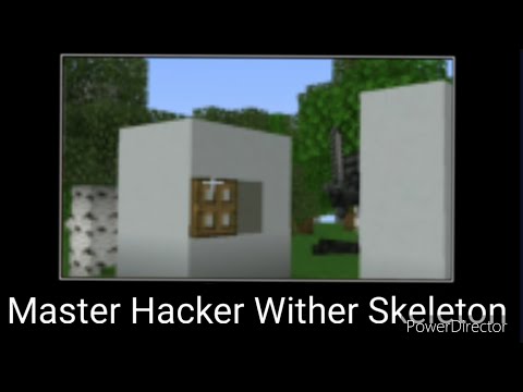 WAIT WHAT (Minecraft) #30 (MASTER HACKER WITHER SKELETON)