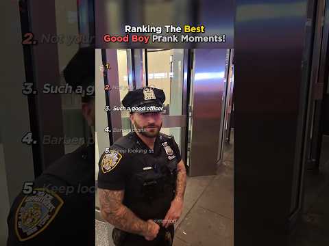 Ranking the Best Good Boy Pranks!  #goodboy #prank #funny