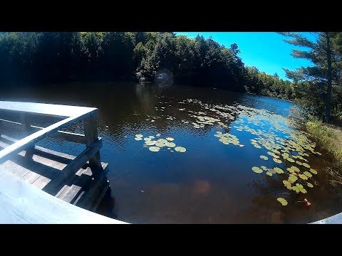 Lauriault /  Waterfall Trail + Mulvhill Lake - Gatineau Park